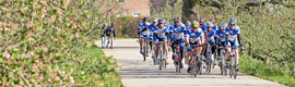 Wielrenners op appeldijk